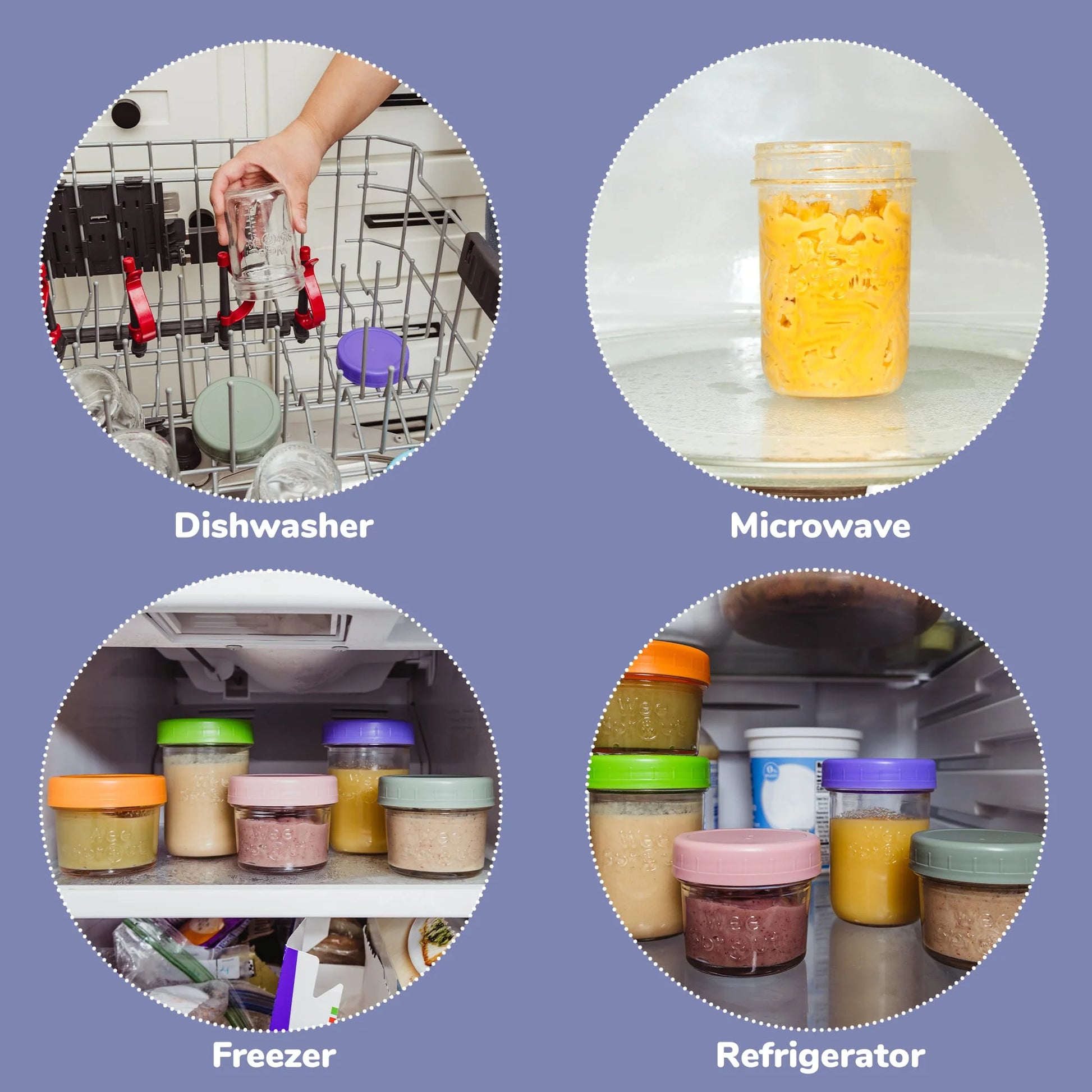 Glass Baby Food Storage Jars W/ Lids (8 Oz, 8 Pack Set, Bright Variety)